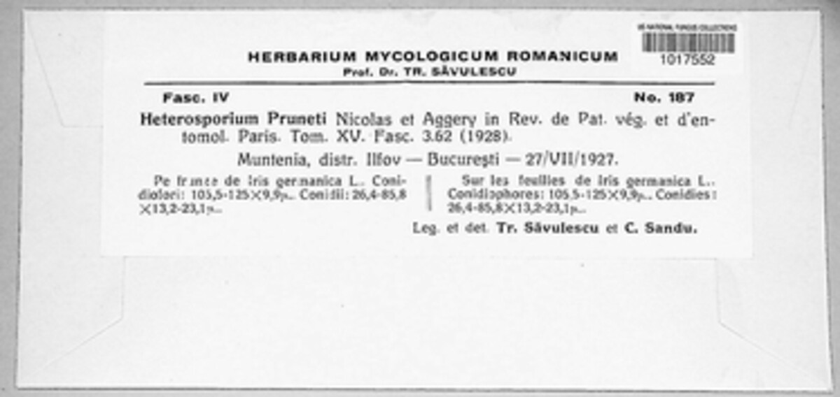 Heterosporium pruneti image